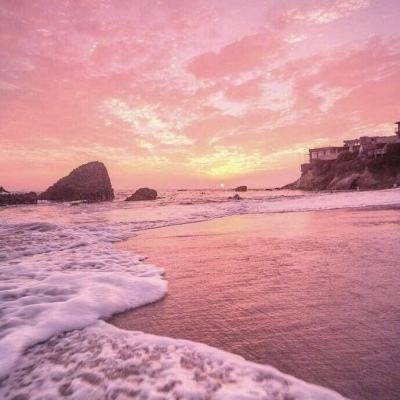 金年会电子游戏app