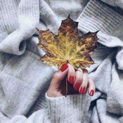 双赢彩票官方网站手机app下载