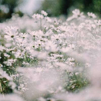 金博宝下载手机版