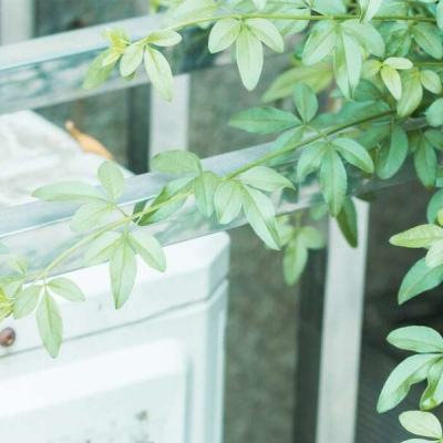 ag真人国际官网app下载